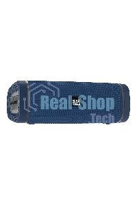 Портативная колонка SOUNDMAX SM-PS5019B (синий)