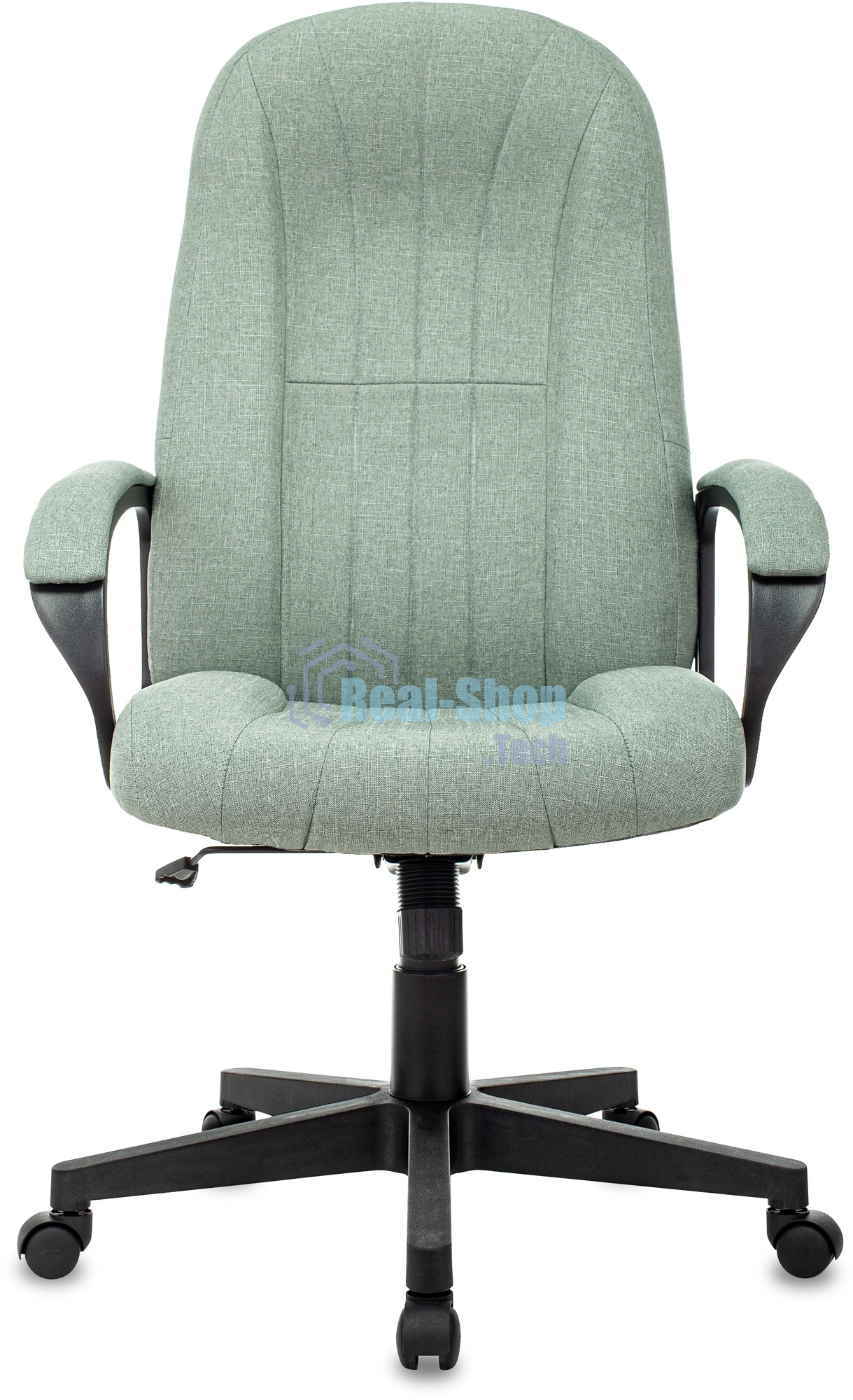 Кресло руководителя Бюрократ T-898AXSN зеленый 38-407, крестовина пластик