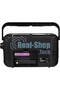 Радиоприемник Ritmix RPR-303, черный