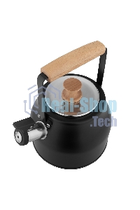 Чайник для плиты LARA LR00-87 2,3 л нержавеющая сталь