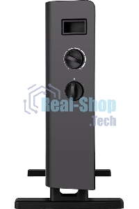 Конвектор Thermex Pronto 2000M черный