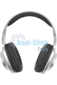 Наушники Panasonic RB-HX220BEES серебристый Полноразмерные Bluetooth наушники с усиленным басом