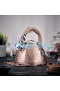 Чайник для плиты TALLER TR-11354 Айгрет 3 л