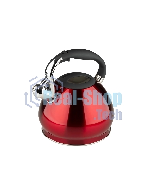 Чайник со свистком Leonord Sonne-3101R