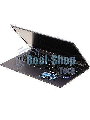 Ноутбук Honor MagicBook X16 2026 BRG-X/16