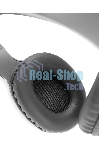 Наушники Panasonic RB-HX220BEES серебристый Полноразмерные Bluetooth наушники с усиленным басом