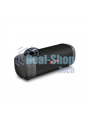 Портативная акустика BQ PBS2002 черный 5 Вт