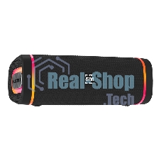 Портативная колонка SOUNDMAX SM-PS5019B черный