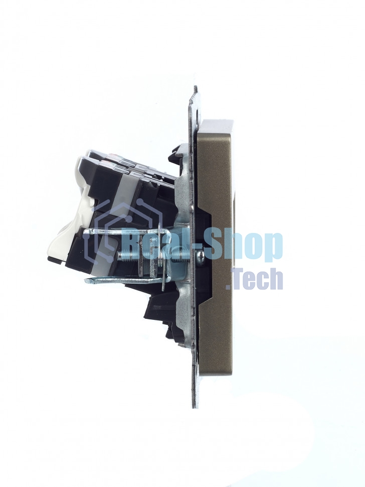 Розетка компьютерная двойная IEK BRITE РК10-2-БрШ (BR-K20-1-K37) СП RJ45 кат.5E шампань