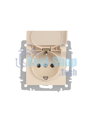 Розетка Intro Accent 6-203-02 2P+E Schuko с крышкой 16А-250В IP20 СУ сл.кость Б0063716