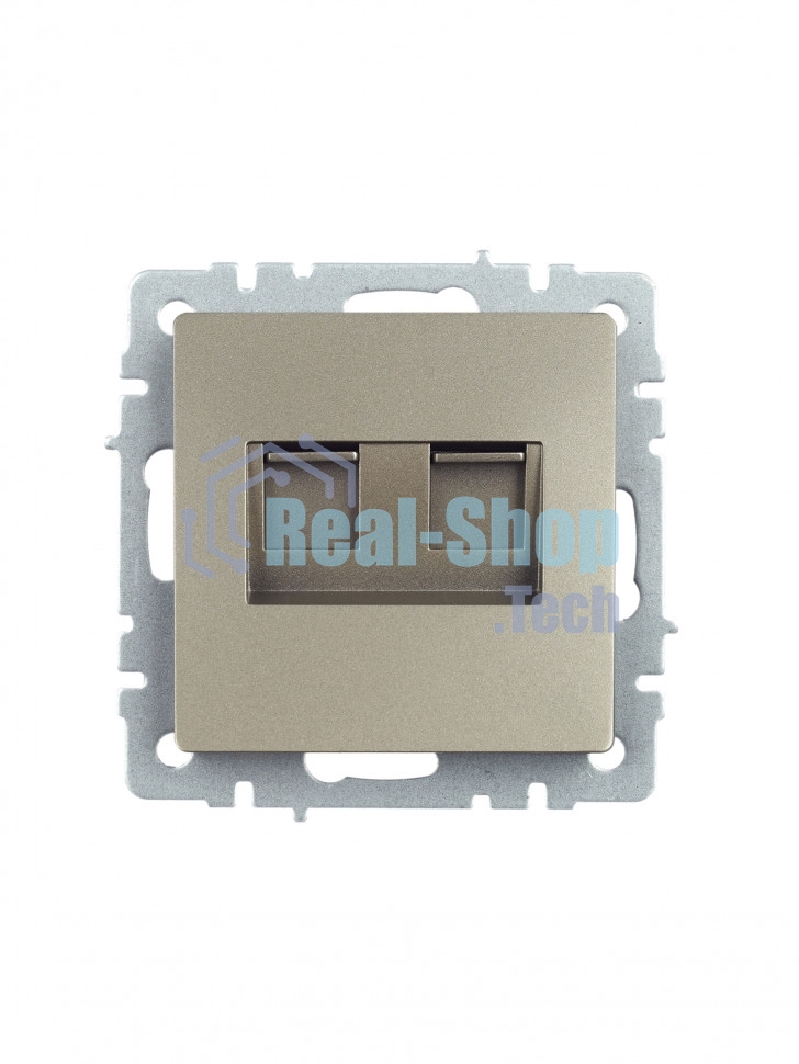 Розетка компьютерная двойная IEK BRITE РК10-2-БрШ (BR-K20-1-K37) СП RJ45 кат.5E шампань