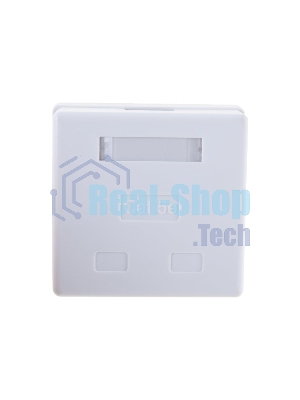 Розетка GEMBIRD NA214 RJ-45 кат.5e внешняя 2 порта, 110/Krone