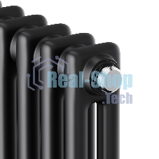 Дизайн-радиатор Royal Thermo Insignia C2180 - 06 секц. RAL9005m