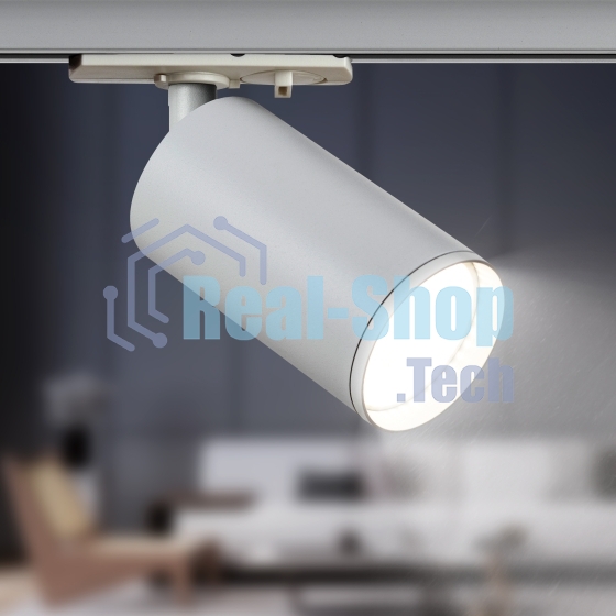 Трековый светильник однофазный ЭРА TR39-GU10 WH под лампу MR16 белый
