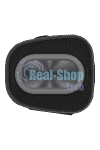 Портативная колонка SOUNDMAX SM-PS5019B черный