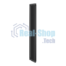 Дизайн-радиатор Royal Thermo Insignia C2180 - 06 секц. RAL9005m