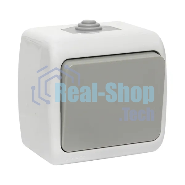 Выключатель EKF Мурманск EFV10-021-30-54 1 -клавишный 10А IP54 серый