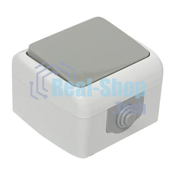 Выключатель EKF Мурманск EFV10-021-30-54 1 -клавишный 10А IP54 серый