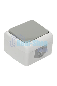 Выключатель EKF Мурманск EFV10-021-30-54 1 -клавишный 10А IP54 серый