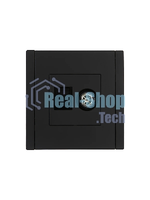 Розетка двойная TV+RJ45 кат.6 IEK FORTE&PIANO FP137 черный