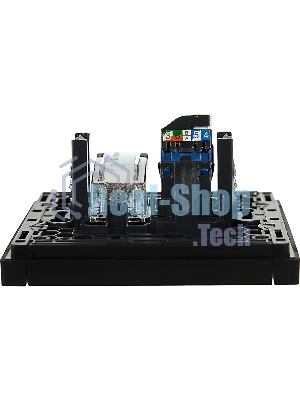 Розетка двойная TV+RJ45 кат.6 IEK FORTE&PIANO FP137 черный