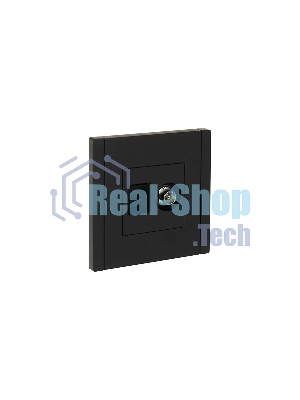 Розетка двойная TV+RJ45 кат.6 IEK FORTE&PIANO FP137 черный