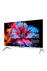 Телевизор TopDevice 24