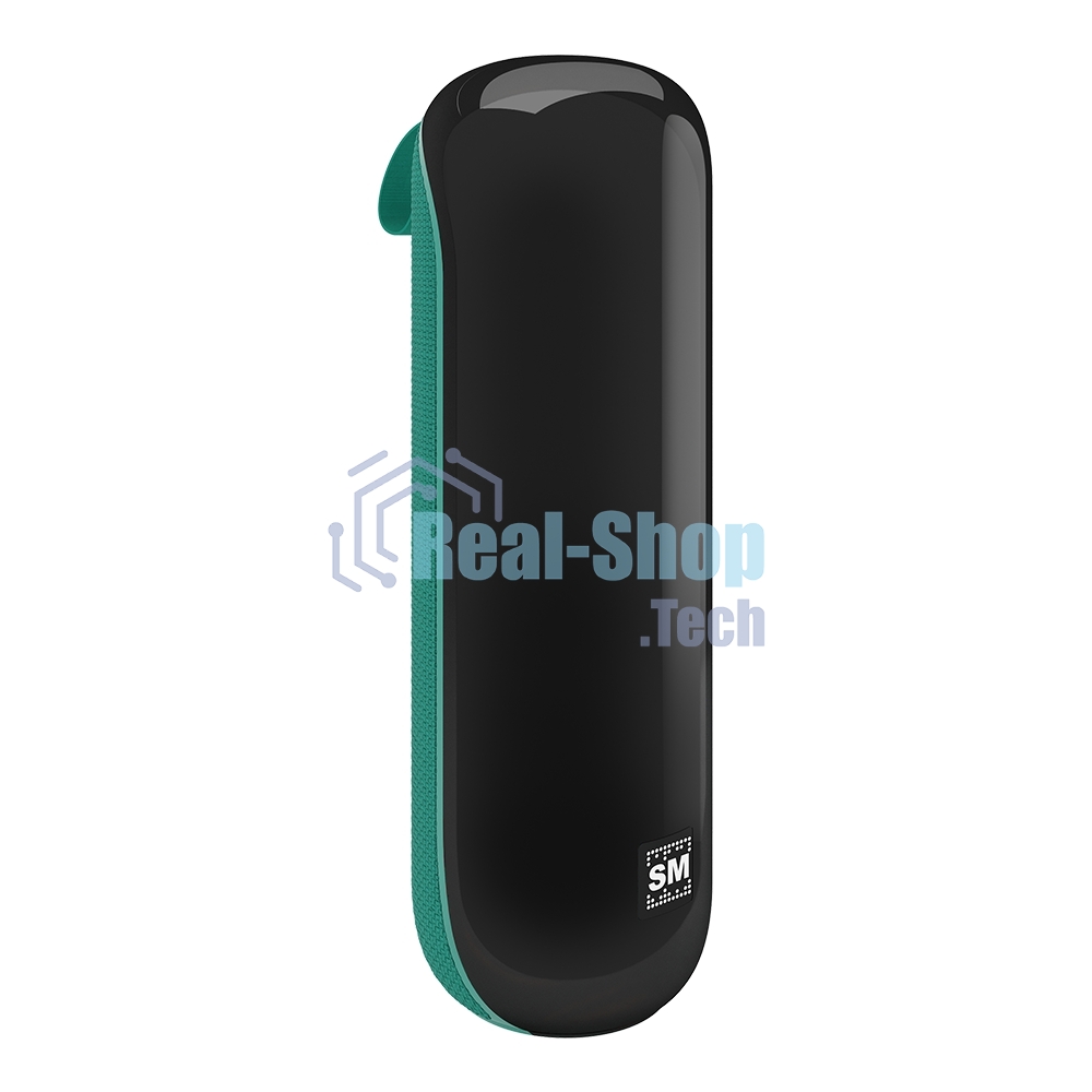 Портативная колонка SOUNDMAX SM-PS5023B зеленый