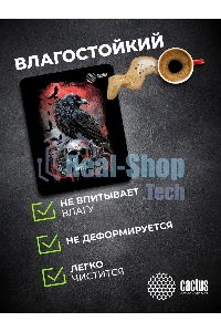 Коврик для мыши Cactus Raven 250x200x3мм (CS-MP-D14S)