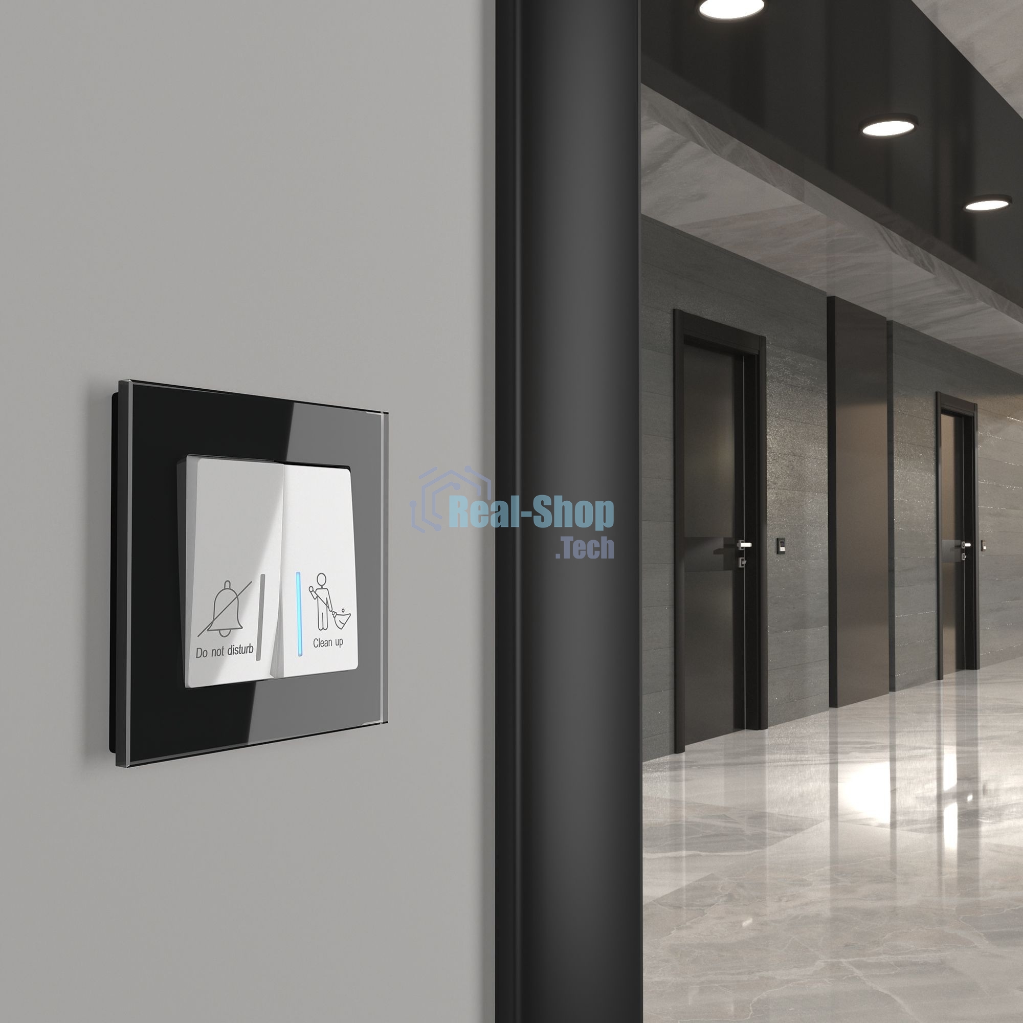Выключатель двухклавишный для отелей WERKEL (белый) W1120801