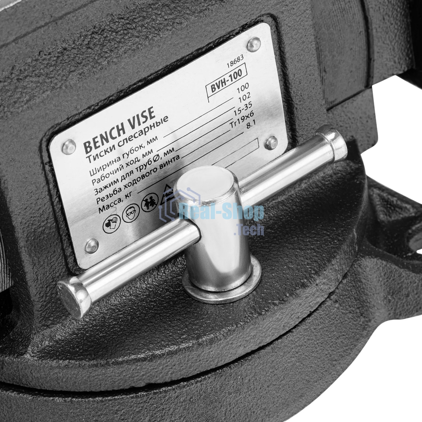 Тиски слесарные Denzel BVH-100 100 мм, поворотные, стальная направляющая, с наковальней