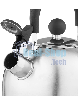 Чайник для плиты MALLONY MAL-039-MP 2.3 л матовый, со свистком (985605)