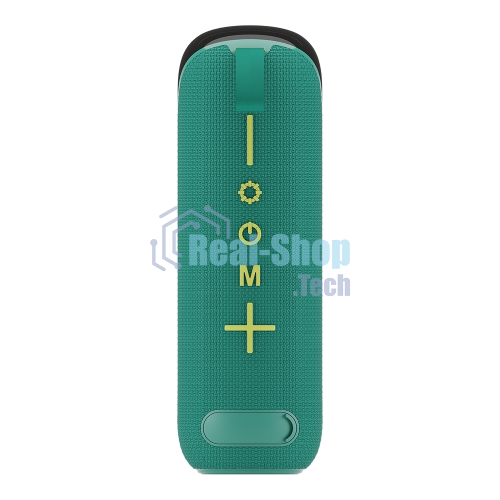 Портативная колонка SOUNDMAX SM-PS5023B зеленый