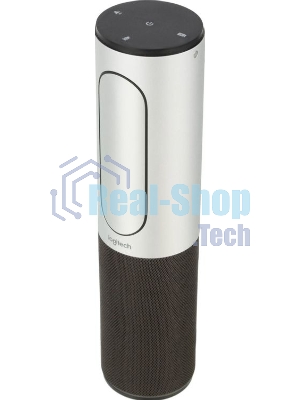 Веб-камера Logitech ConferenceCam Connect 1920x1080, 30 кадр/с, USB, микрофон (2 шт, шумоподавление), автофокус, автоосвещение, серебристый