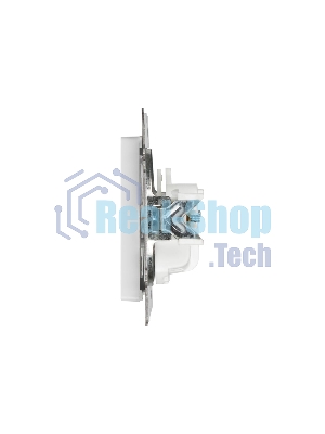 Розетка Intro Accent 6-201-01 2Р 16А-250В IP20 СУ AL/CU белый Б0063653