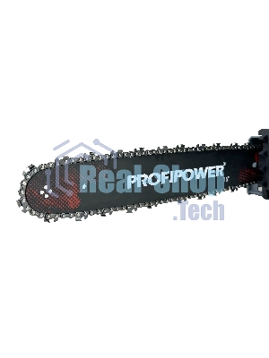 Пила цепная ProfiPower EC-2200, 16