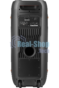 Портативная колонка Defender Boomer 120 120Вт