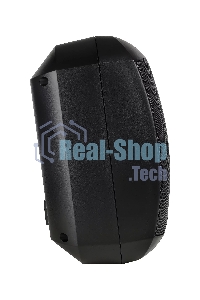 Акустическая система Intrend [ITSPK-MSK6-B] двухполосная, корпусная: 6