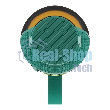 Портативная колонка SOUNDMAX SM-PS5023B зеленый