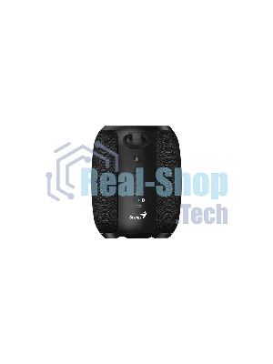 Портативная колонка Genius SP-915BT/1200 мА·ч/5 Вт/Bluetooth 5.3/до 6 ч.воспроизведения/USB-C/черный (31730052400)