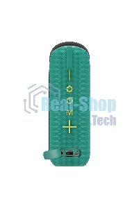 Портативная колонка SOUNDMAX SM-PS5023B зеленый