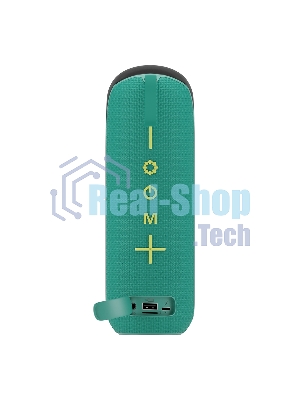 Портативная колонка Soundmax SM-PS5023B зеленый