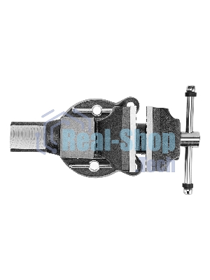 Тиски слесарные Denzel BVH-100 100 мм, поворотные, стальная направляющая, с наковальней