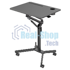 Стол для ноутбука Cactus VM-FDS101B столешница МДФ черный 70x52x105 см (CS-FDS101BBK)