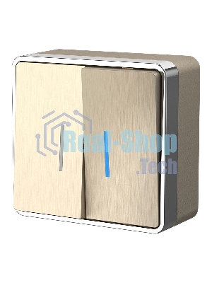 Выключатель двухклавишный с подсветкой Gallant (шампань рифленый) W5020110