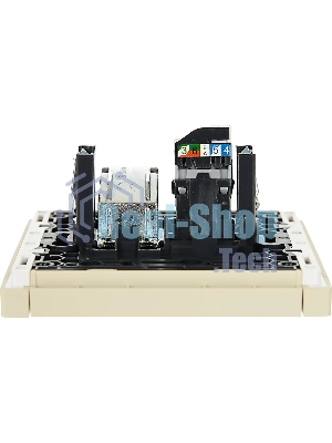 Розетка двойная TV+RJ45 кат.5E IEK FORTE&PIANO FP436 ваниль