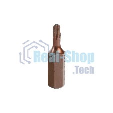 Бита EDGE by PATRIOT T10, сталь S2, длина 25 мм, 2шт в блистере