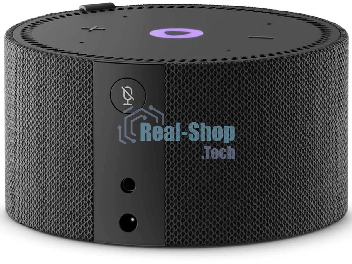 Умная колонка Яндекс Станция Мини, 10Вт, с голосовым ассистентом Алиса на YaGPT, с LED-часами, черный