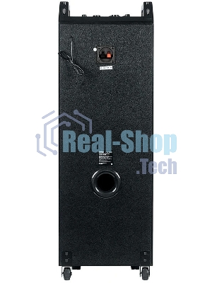 Акустическая колонка Dialog Oscar AO-220 1.0, 100W RMS, Караоке с беспр. микр, BT/FM/USB/SD/GT