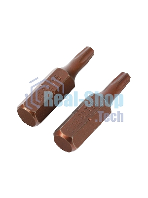 Бита EDGE by PATRIOT T15, сталь S2, длина 25 мм, 2шт в блистере